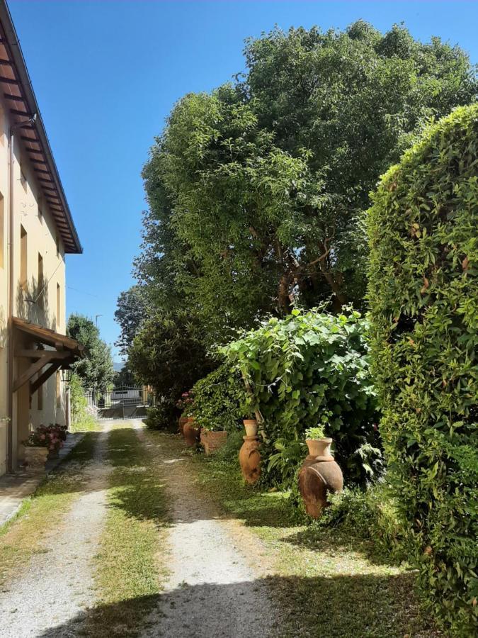 Antica Fattoria La Verdina Bed & Breakfast Camaiore Exterior photo