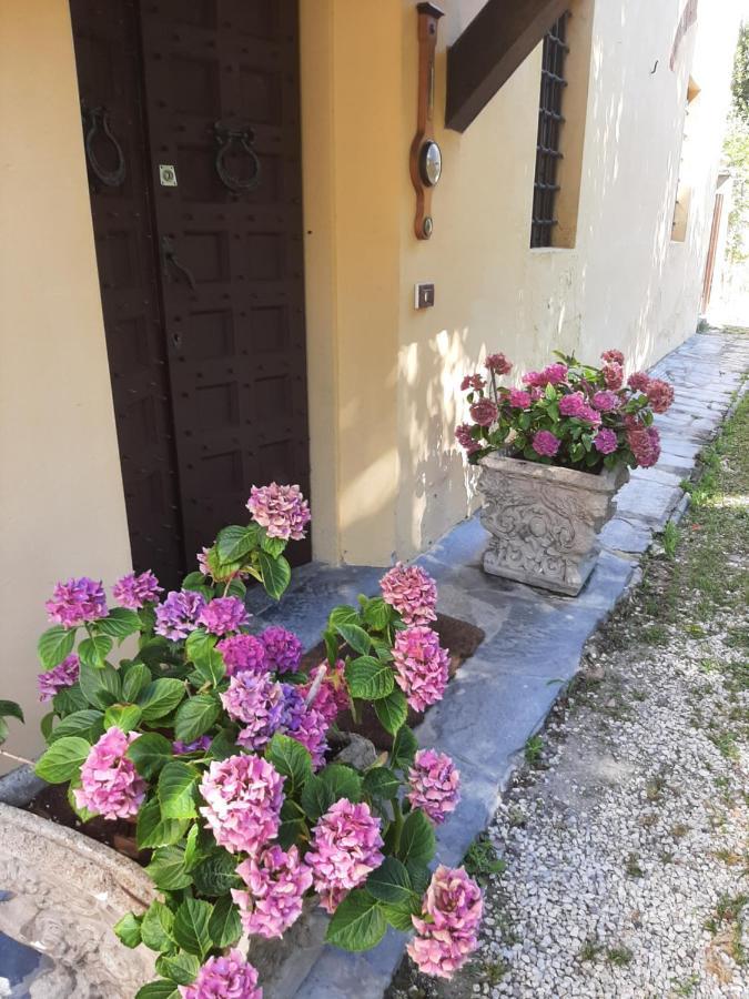 Antica Fattoria La Verdina Bed & Breakfast Camaiore Exterior photo