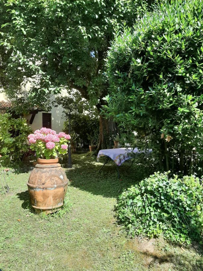 Antica Fattoria La Verdina Bed & Breakfast Camaiore Exterior photo