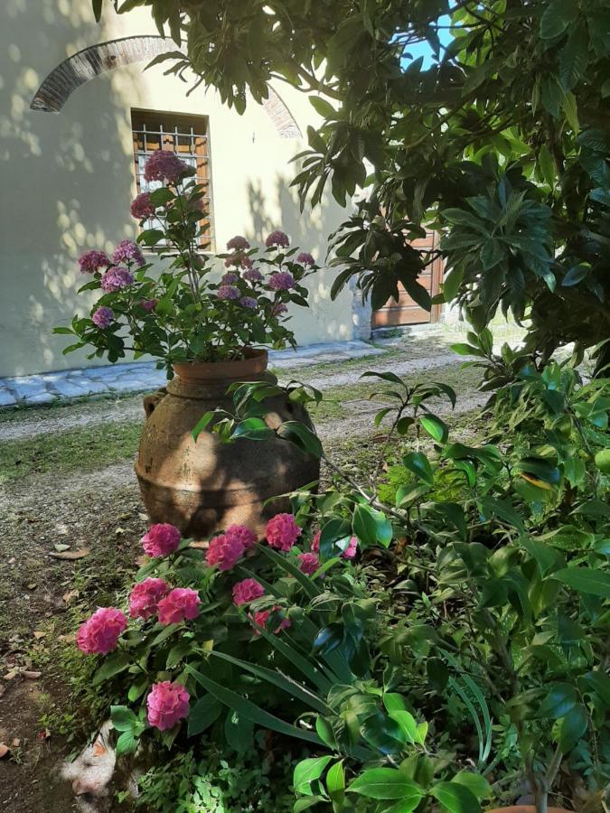 Antica Fattoria La Verdina Bed & Breakfast Camaiore Exterior photo