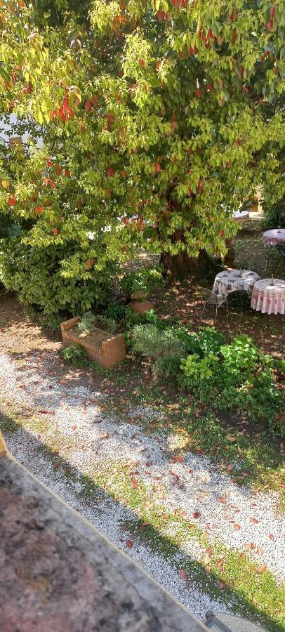 Antica Fattoria La Verdina Bed & Breakfast Camaiore Exterior photo